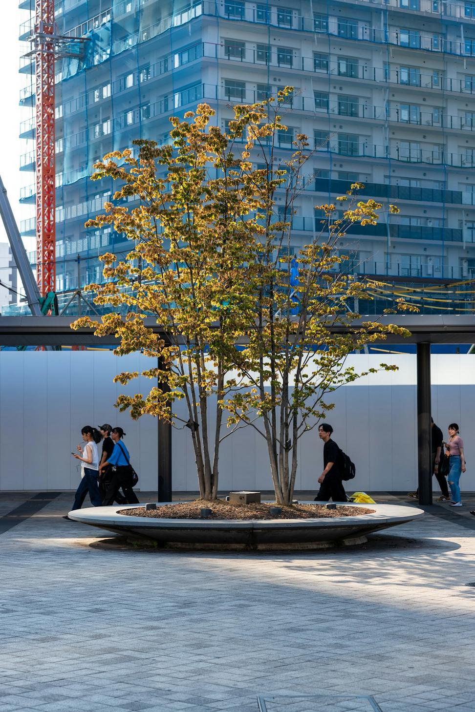 Riverside Commons